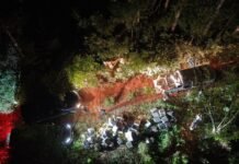 Prefectura secuestró más de tres toneladas de marihuana en un operativo en Misiones
