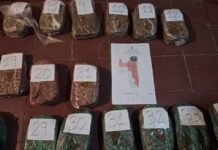 Golpe al narcotráfico en la Capital: secuestran casi 18 kilos de marihuana en un allanamiento