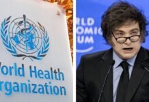 La OMS pidió a la Argentina reconsiderar su salida del organismo en medio del brote de hantavirus