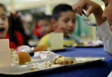 Un estudio de la UBA y el Conicet alertó sobre la malnutrición infantil en Argentina