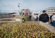 Una empresa olivícola de Pomán ampliará su producción con 600 nuevas hectáreas