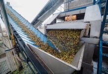 Catamarca duplicó sus exportaciones y superó los US$320 millones en cinco meses
