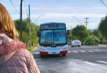 Comenzó a regir el descuento del 50% en colectivos para usuarios del Marcatón Transporte