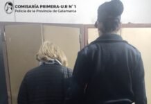 Aprehenden a una mujer acusada de cometer un robo en una farmacia céntrica