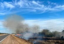 Refuerzan prevención ante la temporada alta y un aumento de incendios forestales