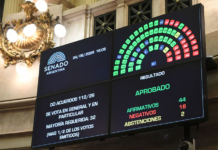 El Senado avanzó con el pliego de Verónica Michelli pese al veto impulsado por Milei
