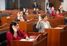 El Senado dio luz verde a leyes de memoria histórica, astro-turismo y cargos judiciales