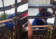 Un turista arriesgó su vida en las Cataratas del Iguazú para recuperar su celular