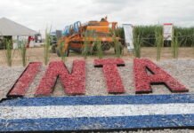 Un informe del INTA alertó que el ajuste provocó la pérdida de personal clave en el organismo