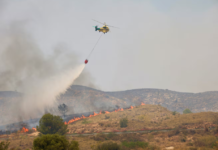 Tragedia en España: un devastador incendio forestal dejó al menos 12 muertos en Almería