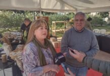 Productores orgánicos de Catamarca exhiben sus alimentos en la Plaza Principal y buscan extender la feria durante la Fiesta del Poncho