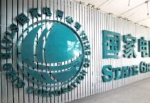 La empresa estatal china que estuvo cerca de controlar la principal red eléctrica de Chile