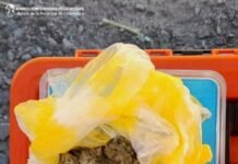 Secuestran marihuana durante un control en el Puesto Caminero El Portezuelo