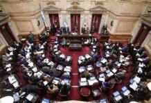 La Libertad Avanza postergó para el 6 de agosto el debate de la ley de propiedad privada