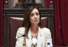 Villarruel publicó un mensaje por el 9 de Julio con críticas al Gobierno: “Otro país es posible”