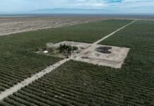 Con un alza del 118,7%, Catamarca lideró el crecimiento de las exportaciones a nivel nacional