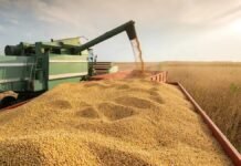 Retenciones al agro: proyectan una recaudación de US$4.613 millones en 2026