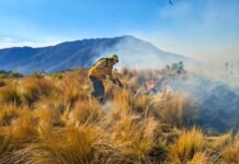 Incendio en Aconquija: el fuego ya afectó más de 100 hectáreas y mantienen alerta por viento zonda