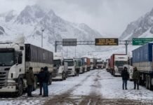 Caos en la cordillera: miles de camiones varados y más de 15 pasos cerrados