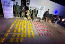 Se profundizó la inspección en el camión secuestrado en Catamarca y hallaron otros 68 kilos de cocaína y 36 kilos más de marihuana