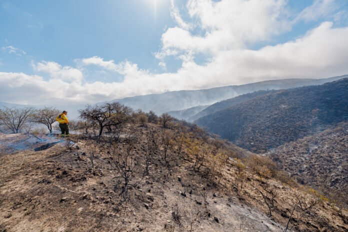 El incendio en El Rodeo permanece contenido y bajo monitoreo permanente (2)