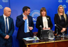 Ley de Tierras: el Gobierno dio marcha atrás con la venta a extranjeros para destrabar el debate en el Senado