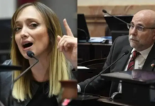 El Senado rechazó el voto remoto de Anabel Fernández Sagasti y Flavio Fama