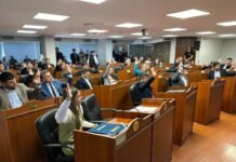 Diputados avanzó con el Régimen Penal Juvenil y aprobó expropiaciones en Paclín y Pomán