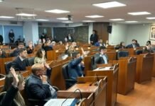 Diputados aprobó cinco nuevas leyes sobre tecnología, salud, accesibilidad y Malvinas