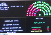 Reforma del Banco Central: el Senado la aprobó con cambios y vuelve a Diputados