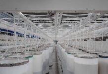 Algodonera del Valle amplía su planta y apuesta a más tecnología, empleo y exportaciones