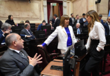 El Senado busca lograr hoy el dictamen del super-RIGI con cambios pedidos por los aliados