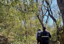 Canes de Catamarca colaboraron en la búsqueda de un joven desaparecido en Jujuy