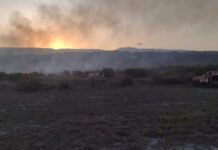 Incendio en Ruta N° 1: despliegan un importante operativo