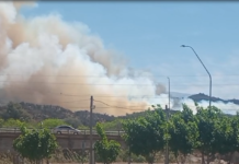 Por los incendios, se suspende la Jornada de Campo prevista en Banda de Varela