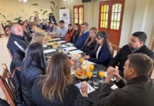 Detectaron roedores con Hantavirus en Los Altos y refuerzan las medidas de prevención