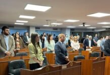 Diputados aprobó la emergencia en salud mental policial y el Día de la Batalla de El Tala