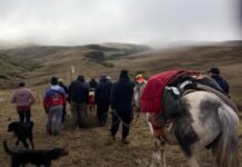Rescataron a un hombre de 54 años que se había extraviado en un cerro de Ambato
