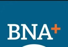 Alerta por ciberestafas durante la migración a Nueva BNA+: advierten sobre falsos gestores y enlaces fraudulentos