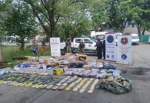 Gendarmería incineró más de 422 kilos de droga secuestrados en 50 causas en Catamarca