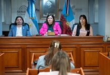 El Senado avanzó con iniciativas para prevenir riesgos climáticos y mejorar la seguridad vial