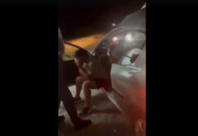 Un auto chocó contra un caballo en la Ruta 38: dos personas resultaron heridas