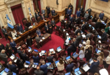 El Senado aprobó la reforma de la Ley de Salud Mental y el proyecto pasa a Diputados