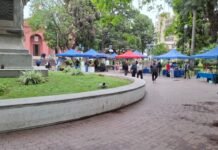 Reordenamiento de feriantes en la Plaza 25 de Mayo: algunos puestos fueron reubicados en la Alameda